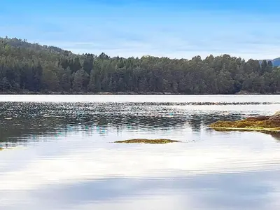 a large body of water with trees in the background at 5 person holiday home in LONEVÅG-By Traum in Lonevåg