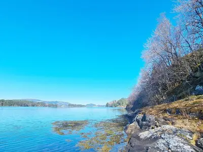 a view of a river with trees on the shore at 5 person holiday home in LONEVÅG-By Traum in Lonevåg
