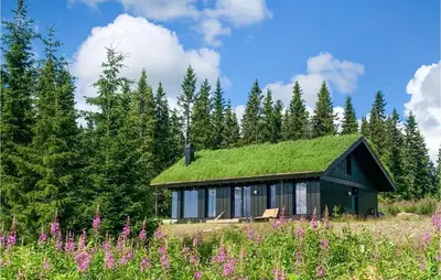 a house with a grass roof with a field at Stunning Home In Øyer With Sauna in Øyer