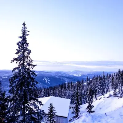 a snow covered tree on top of a mountain at Cozy apartment in Hafjell - Øyer centre in Hafjell