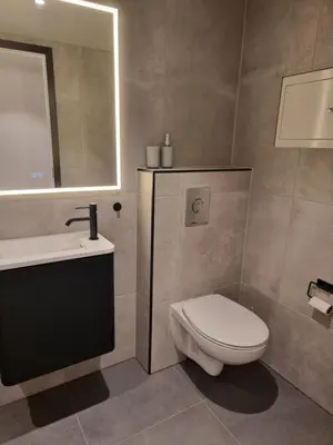 a bathroom with a toilet and a sink and a mirror at Near Bergen City, Apartment 7 min from the airport, free parking in Bergen