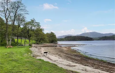 a cow standing on a beach next to a body of water at Gorgeous Home In Skjold With Kitchen in Skjold