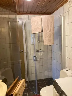 a bathroom with a shower and a toilet at Lun og koselig hytte med sauna på Filefjell in Tyinkrysset