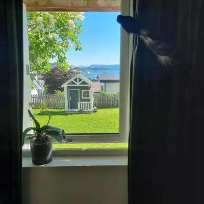 a window with a potted plant on a window sill at Apartment near center / free P in Ålesund