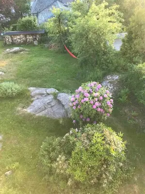 Gallery image of Modern apartment with free parking in Bergen