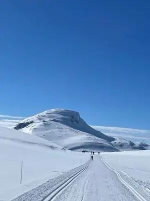 a group of people walking down a snow covered road at Leilighet sentralt på Beitostølen in Beitostøl