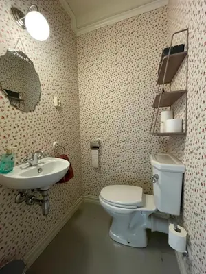 a bathroom with a white toilet and a sink at Monshaugen Home - Privat Retreat in Sykkylven