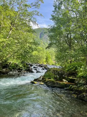 a river in the middle of a forest with trees at Monshaugen Home - Privat Retreat in Sykkylven