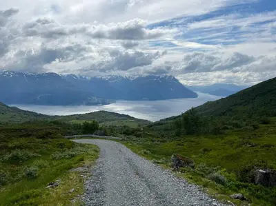 a gravel road in a field with mountains in the distance at Enesi holiday house in Hestenesøyra