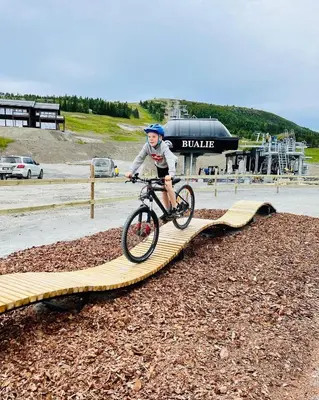 a person riding a bike on a wooden trail at Bualie - Golsfjellet - Biking, swimmming, hiking. High standard. in Gol