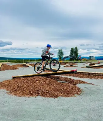 a man riding a bike over a rail at Bualie - Golsfjellet - Biking, swimmming, hiking. High standard. in Gol