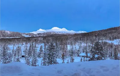 a mountain covered in snow with trees and a house at Nice Home In Tuddal With Kitchen in Tuddal