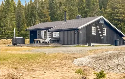 a large black house with a yard and trees at 3 Bedroom Amazing Home In Lillehammer in Lillehammer