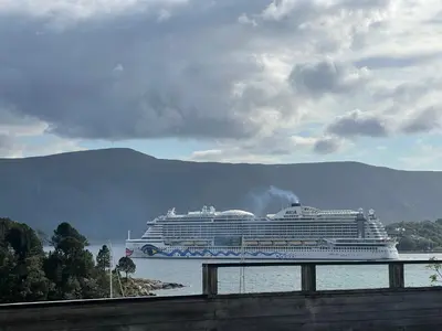 a cruise ship on the water with mountains in the background at Fjord view apartment in Ålesund with free parking in Ålesund