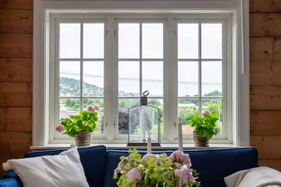 a window with three potted plants on a blue couch at Vakker leilighet - stor parkeringsplass 10min fra Bergen in Bergen
