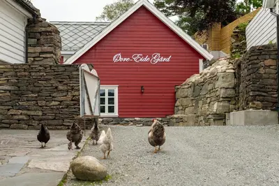 a group of chickens walking in front of a red barn at Vakker leilighet - stor parkeringsplass 10min fra Bergen in Bergen