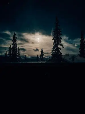 a group of trees with the moon in the sky at Peaceful Oasis. Panoramic forest- & mountain view. Sauna. in Beitostøl