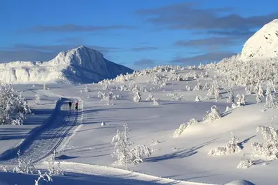 a group of people skiing down a snow covered slope at Peaceful Oasis. Panoramic forest- & mountain view. Sauna. in Beitostøl