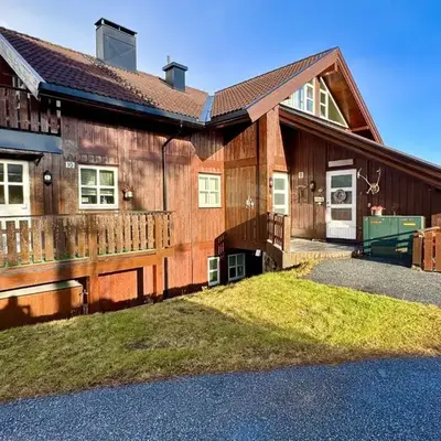 Spacious and beautiful apartment in Geilo