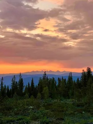 a sunset over a forest of trees on a hill at Arctic Dome Gudbrandsdalen in Sør-Fron