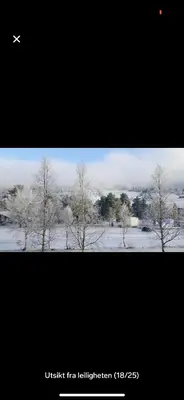 two pictures of trees in a field with snow at Bjorli Apartment with everything, 150m from ski lift in Bjorli