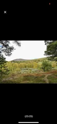 a plane is flying over a field with trees at Bjorli Apartment with everything, 150m from ski lift in Bjorli