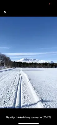 a snow covered road with tire tracks in the snow at Bjorli Apartment with everything, 150m from ski lift in Bjorli