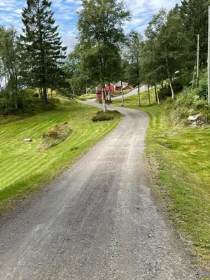 a dirt road with trees on both sides of it at Sjarmerende og romslig bolig, omgitt av vakker natur in Molde