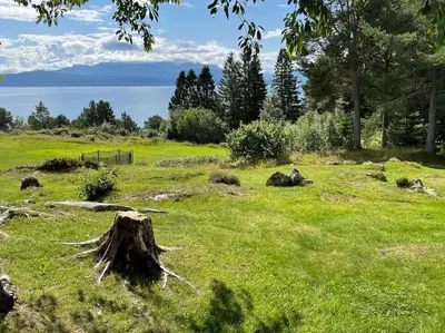 a tree stump in a grassy field with water in the background at Sjarmerende hytte omgitt av vakker natur in Molde