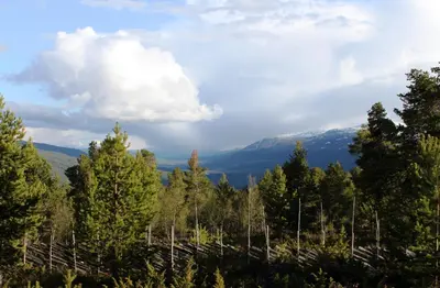 a view from the top of a mountain with trees at Lusæter Timber Cabins in Heidal
