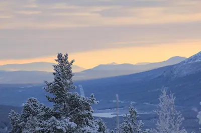 a snow covered tree on top of a mountain at Lusæter Timber Cabins in Heidal