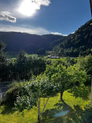a tree in a field with mountains in the background at Leirvik Vandrehjem in Leirvik
