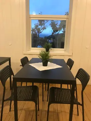 a black table with chairs and a potted plant on it at Leirvik Vandrehjem in Leirvik