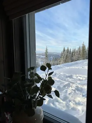 a vase with a plant in a window with snow at Hafjell Front 220D 8pers, Ski inout , Downhill Bike in Hafjell