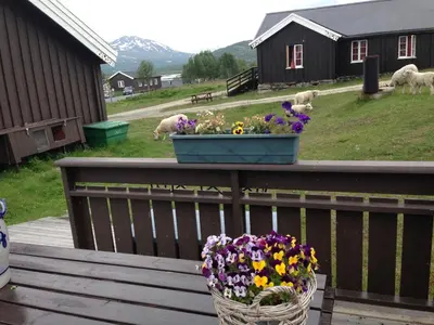 a basket of flowers on a deck with sheep in the background at Bessheim Fjellstue og Hytter in Bessheim