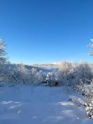 a snow covered field with trees and a river at Cozy family friendly cabin at beautiful location! in Geilo