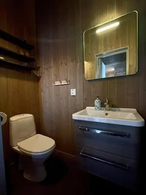 a bathroom with a toilet and a sink and a mirror at Hovdetunet 77-Gaustablikk in Gaustablikk