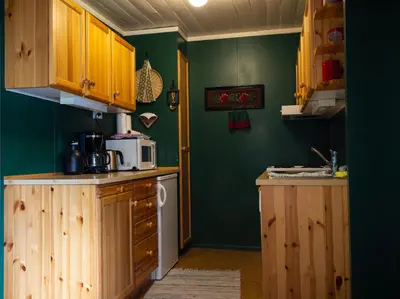 a kitchen with green walls and wooden cabinets at Houmbgaarden in Røros