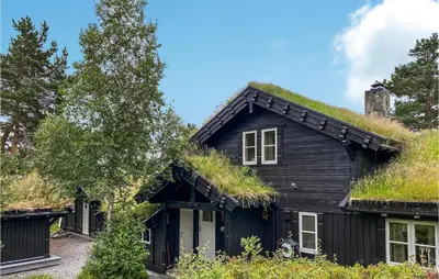 a black house with grass on the roof at Nice Home In Sykkylven With Kitchen in Sykkylven