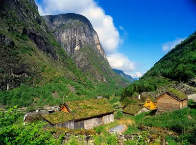 a group of buildings with grass on their roofs in a mountain at Sæbø Camping in Eidfjord