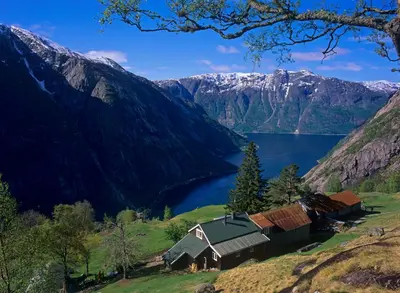 a house on a hill next to a lake at Sæbø Camping in Eidfjord