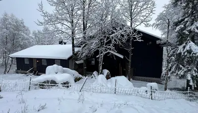 a house covered in snow with trees and a fence at Hemsedal 200m2 /5 sov/10 senger/2 familier in Torset