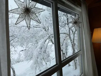 a window with snow covered trees outside of it at River view in Hovet