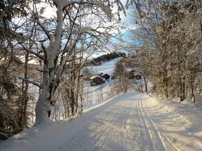 a snow covered road with trees on the side at Groven Camping & Hyttegrend in Åmot