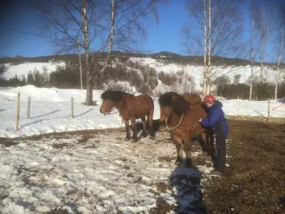 a woman standing next to two horses in the snow at Åsgardane Gjestegard in Gol