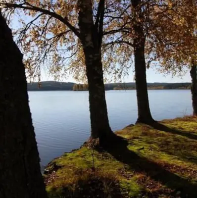 three trees in front of a large body of water at Skomakerhuset in Løten