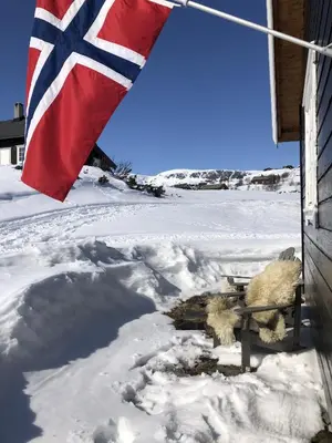 a stuffed animal sitting in the snow next to a flag at Osetunet, small and charming cabin at Ustaoset in Ustaoset