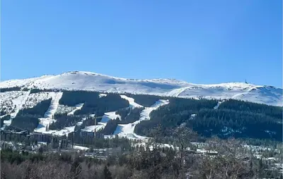 a snow covered mountain with trees and snow covered mountains at 1 Bedroom Amazing Apartment In Trysil in Trysil