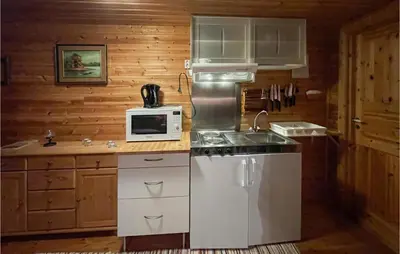 a kitchen with a stove and a microwave at 1 Bedroom Amazing Apartment In Trysil in Trysil