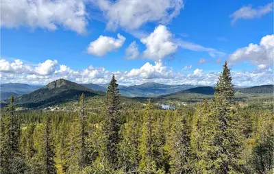 a group of trees on top of a mountain at 3 Bedroom Amazing Home In Tuddal in Tuddal